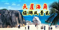 大屁股女人日B视频海南三亚-天崖海角旅游风景区