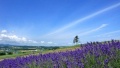 妹子被草网站日本一地6日游  境外旅游 6880元/人